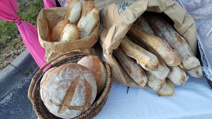 Bonita Springs Lions Club Farmers Market