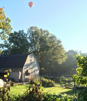 Sunshine Meadows Farm