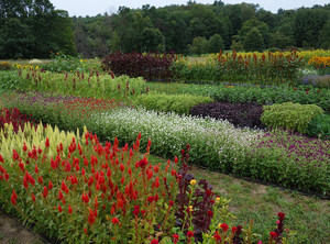 Quonquont Farm