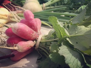 Emadi Acres Farm