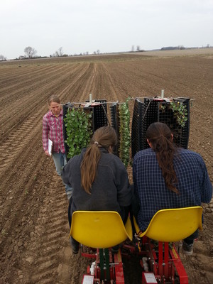 Montalbano Farms